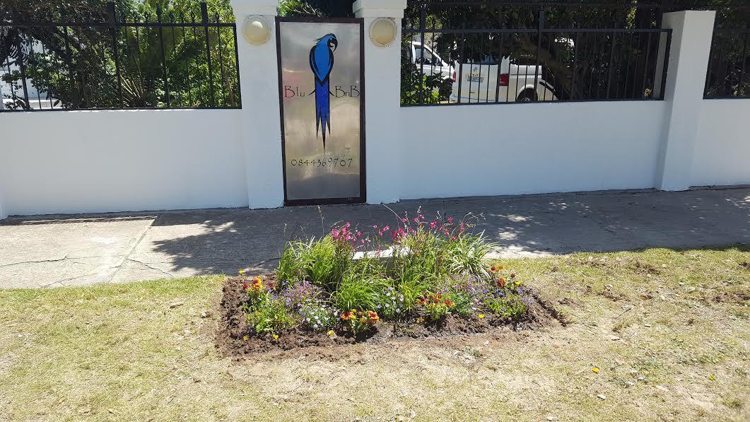 Blu Bed & Breakfast Port Elizabeth Exterior foto